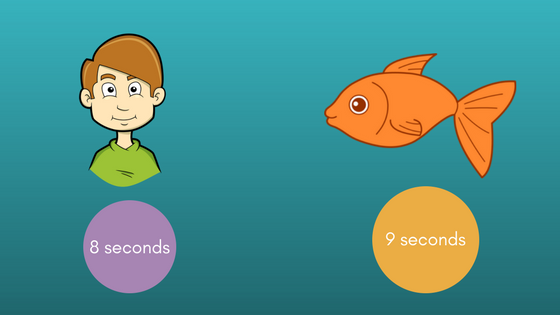 You have one second shorter attention span than a Goldfish! | by Pawan  Kumar | ART + marketing