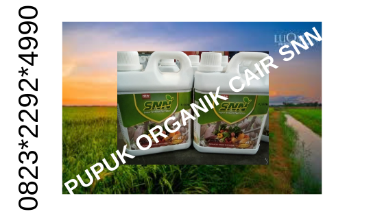 Special 082322924990 Pupuk Padi Riogen Gunung Sitoli