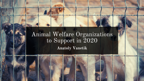 animal welfare organizations near me