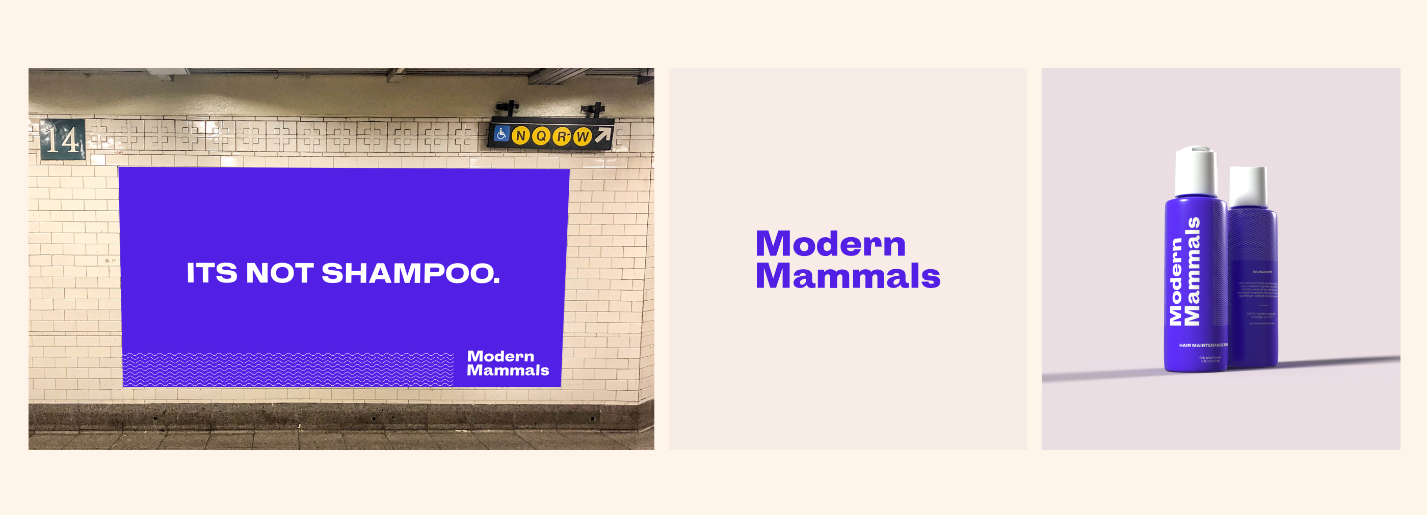 Rebranding Modern Mammals Medium