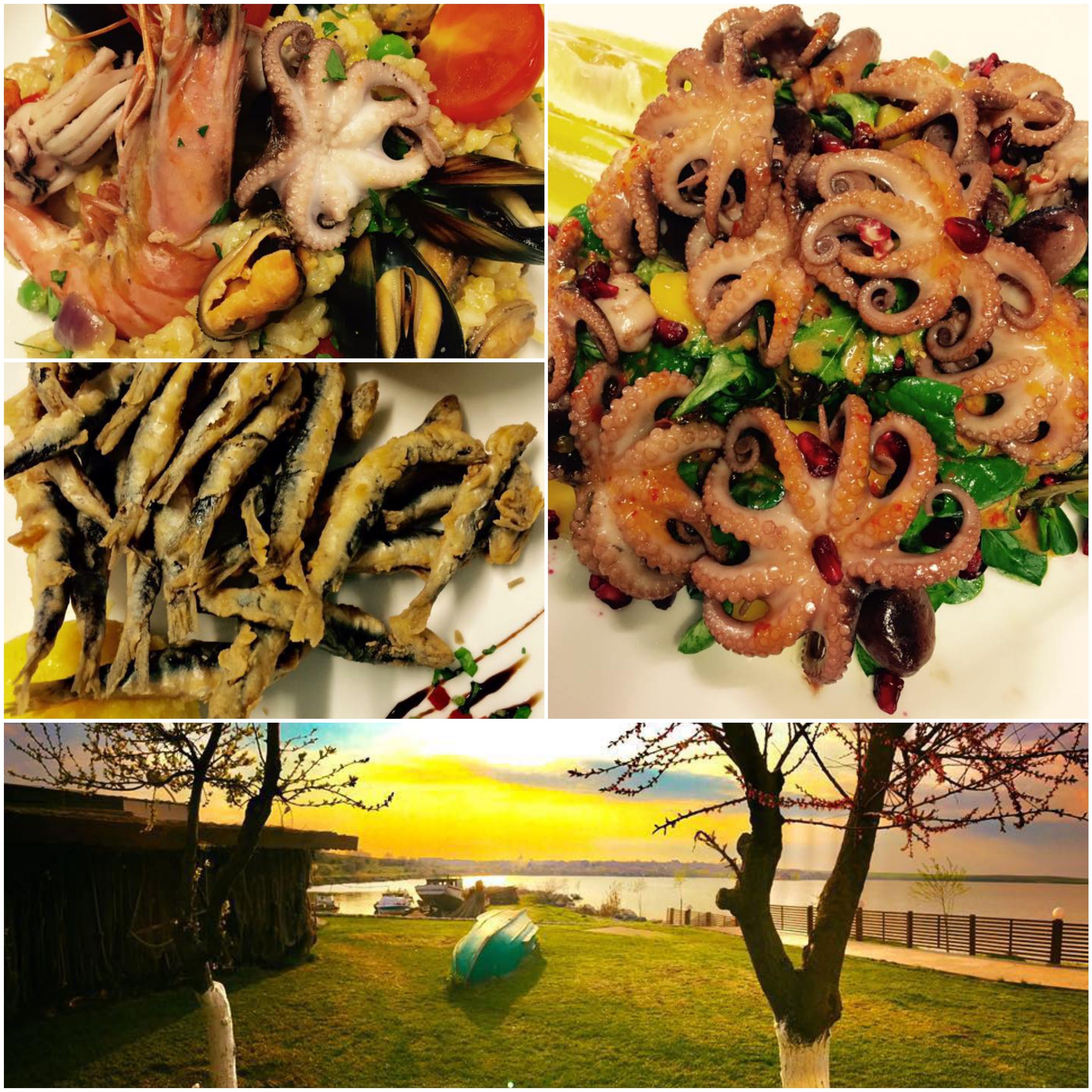 Cele Mai IndrÄƒgite Cherhanale De La Malul MÄƒrii By Fudoo Medium