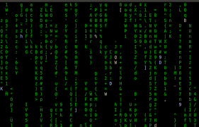 Raspberry Pi Console Matrix Screensaver | by David Such | Medium