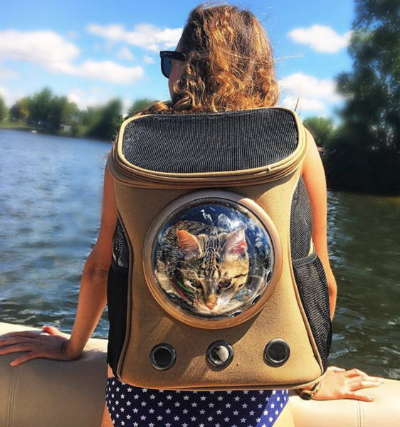 best cat backpack