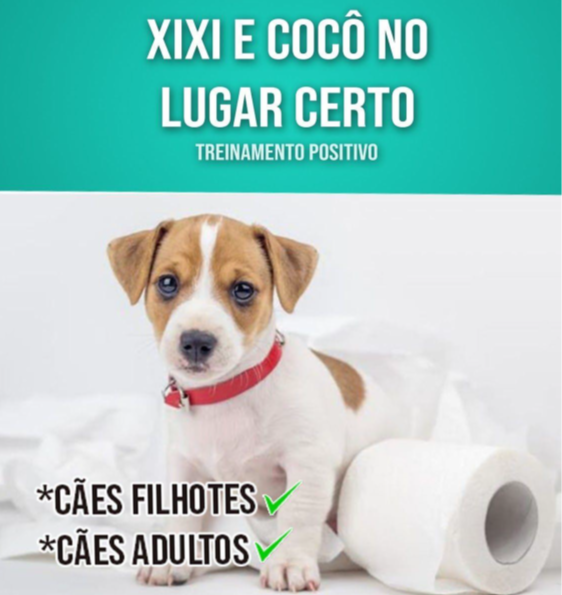 11++ Como Ensinar O Cachorro A Fazer Necessidades No Lugar Certo Free
for You