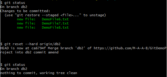 Screenshot of Git command to reset the codebase to last working commit