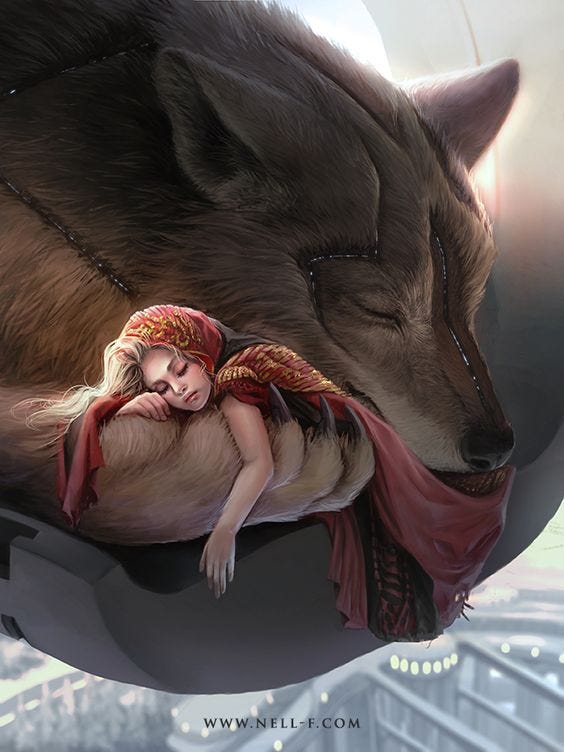 The Fact About The Wolf And The Red Riding Hood By Hana Bahradar Medium