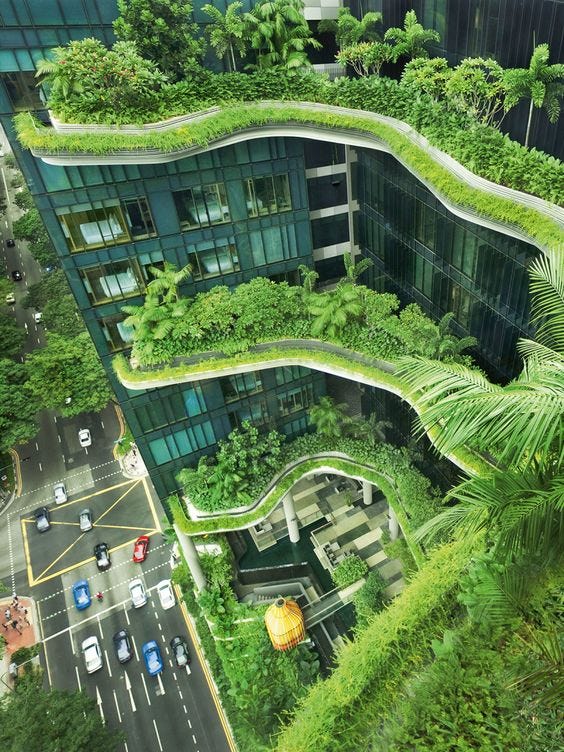 Statistik kehutanan 2019 picture