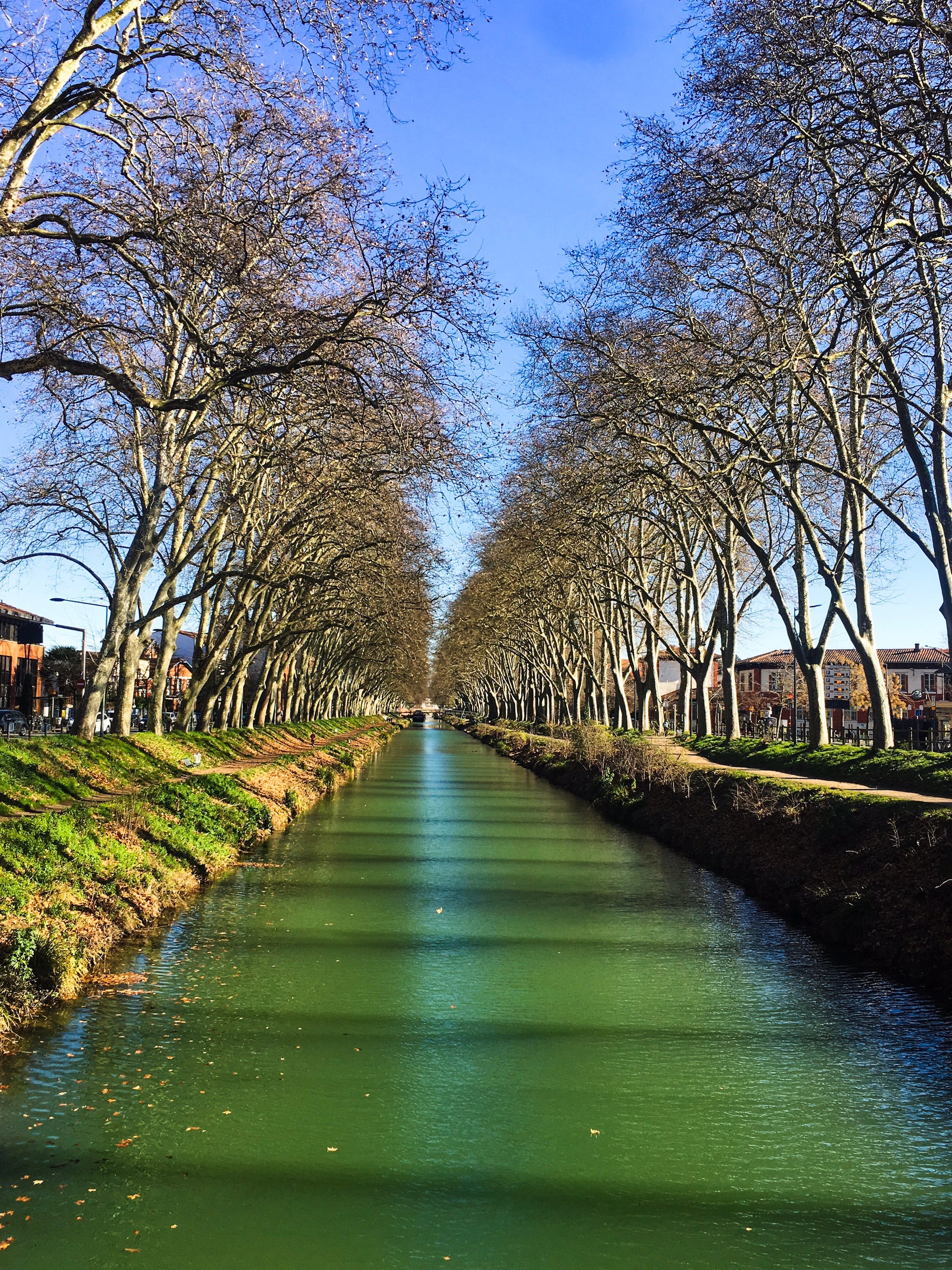 A Few Days In Toulouse France S Pink City By Safetravels196 Medium