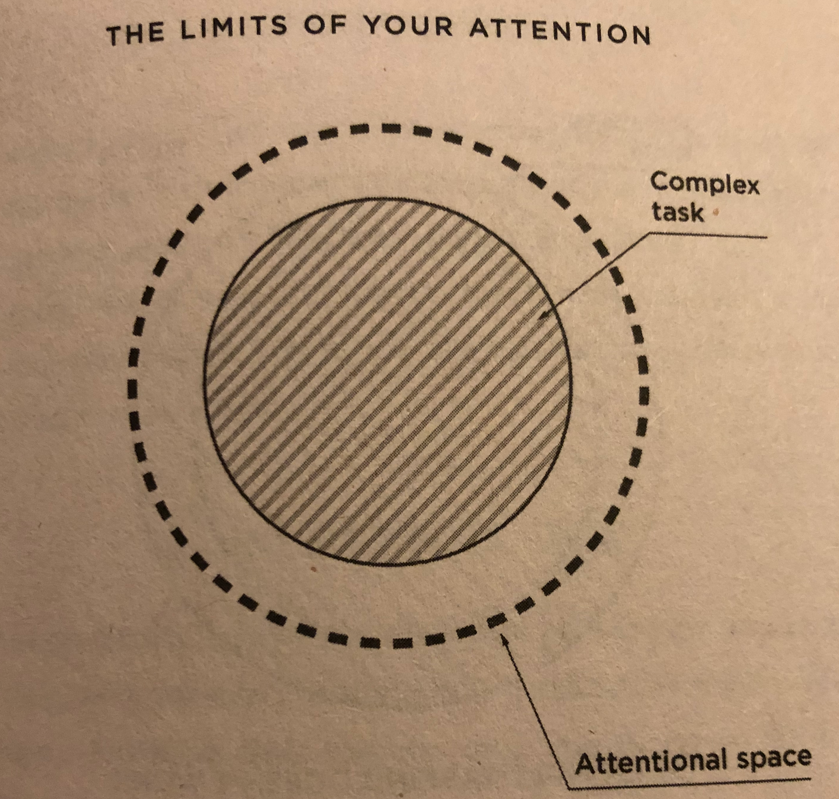 hyperfocus examples hyperfocus examples
