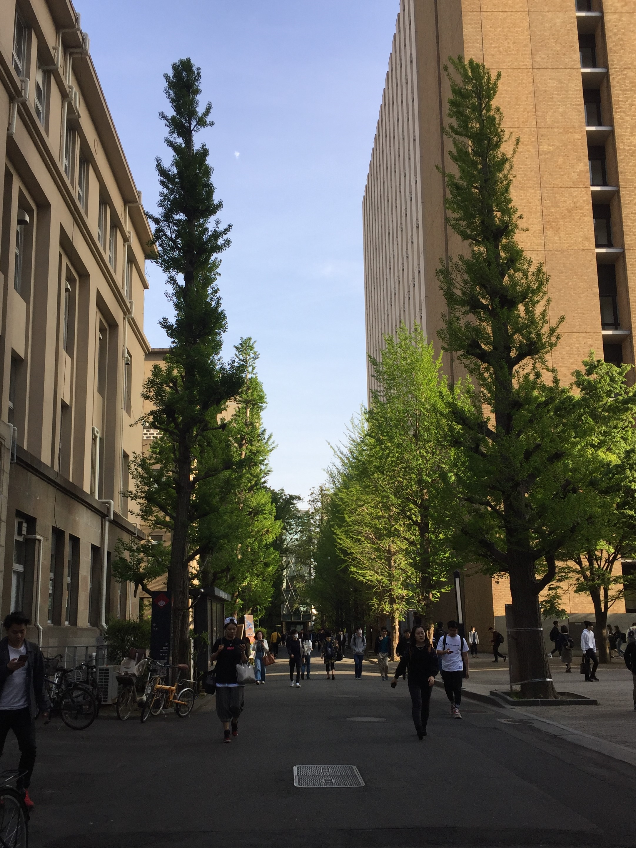 日本交換心得 交換生都在玩 談我在早稻田之所學 我參加的是早大社會科學部 Sss 的taisi By Sapphire Medium 日本交換心得 交換生都在玩 談我在早稻田之所學 我參加的是早大社會科學部 Sss 的taisi By Sapphire Medium
