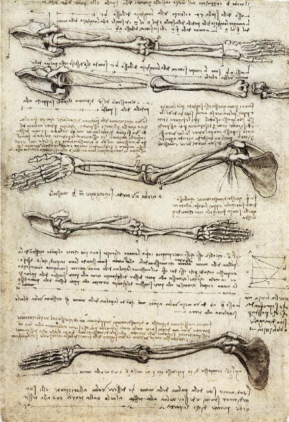 Drawing of Leonardo Da Vinci. Studies of the Arm showing the… | by Riddle  Smyth | Medium