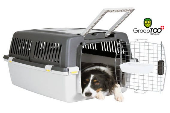 Cage Transport Chien Articles Pour Chien Et Chat A Bon Prix By Cage Transport Chien Medium