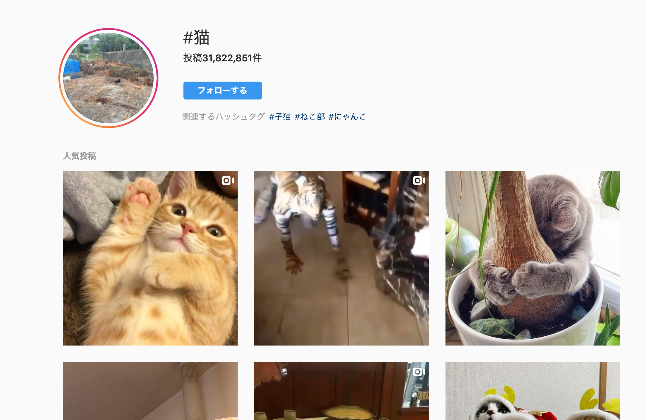 日本語と韓国語の人気ハッシュタグはどんなものか インスタグラムでフォロワーを増やすには 適切なハッシュタグを投稿に付ける必要があ By Instagram Smash Medium 日本語と韓国語の人気ハッシュタグはどんなものか インスタグラムでフォロワーを増やすには 適切なハッシュタグを投稿に付ける必要があ By Instagram Smash Medium