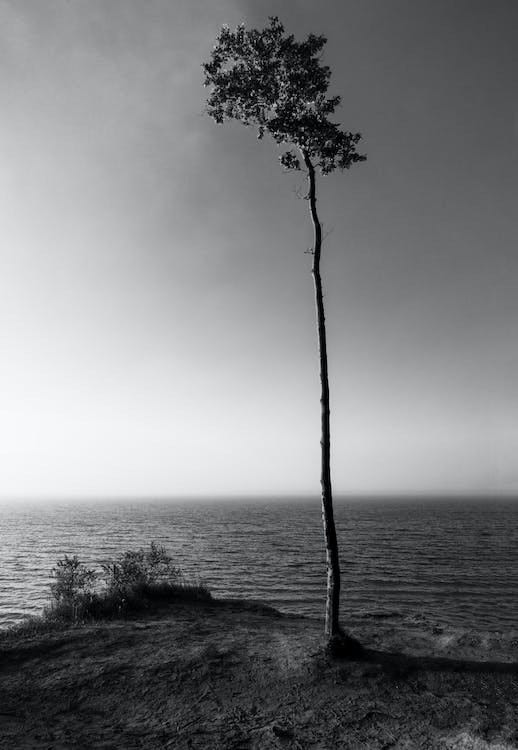 raw-image