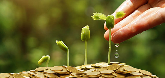 Financer la transition agricole et alimentaire défis et outils  by