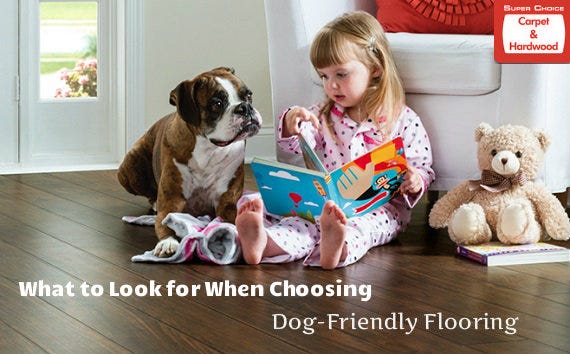 What To Look For When Choosing Dog Friendly Flooring
