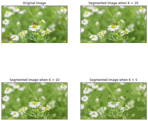 Using K-Means Clustering For Image Segmentation | By Cierra Andaur | Medium