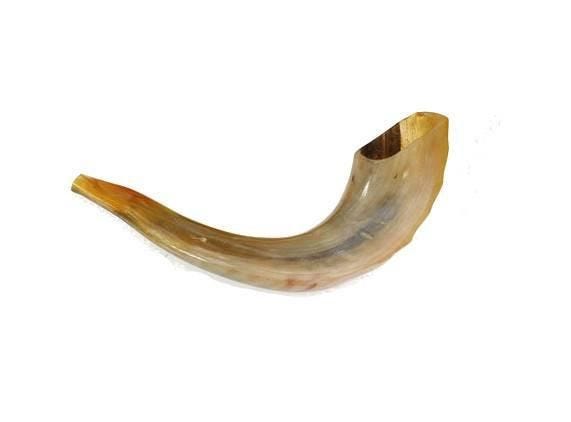 Image result for shofar