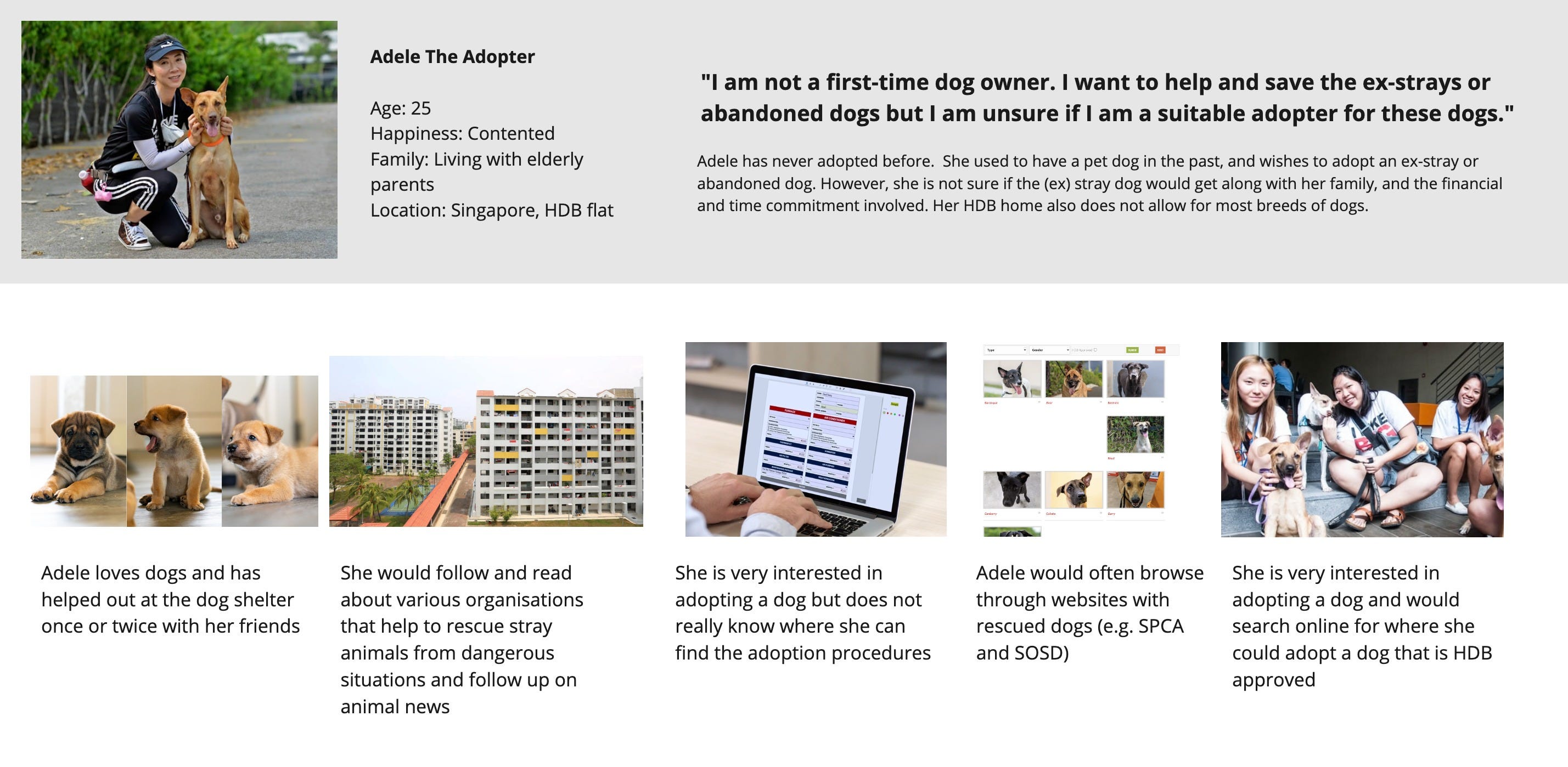 Case Study Saving Our Street Dogs By Cheryl C Bootcamp