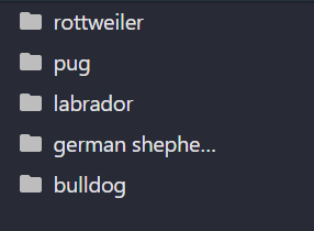 Dog Breed Classification using Deep Learning | by AI Technology ...