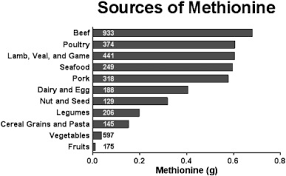 Foods Low In Methionine Chart