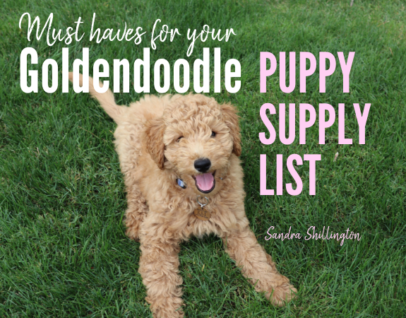 goldendoodle supplies