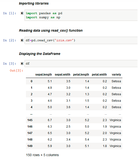 Univariate Data Visualization: Preparing the data