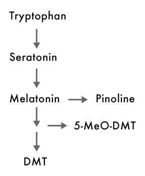 Serotonin Dmt Chemical Structure