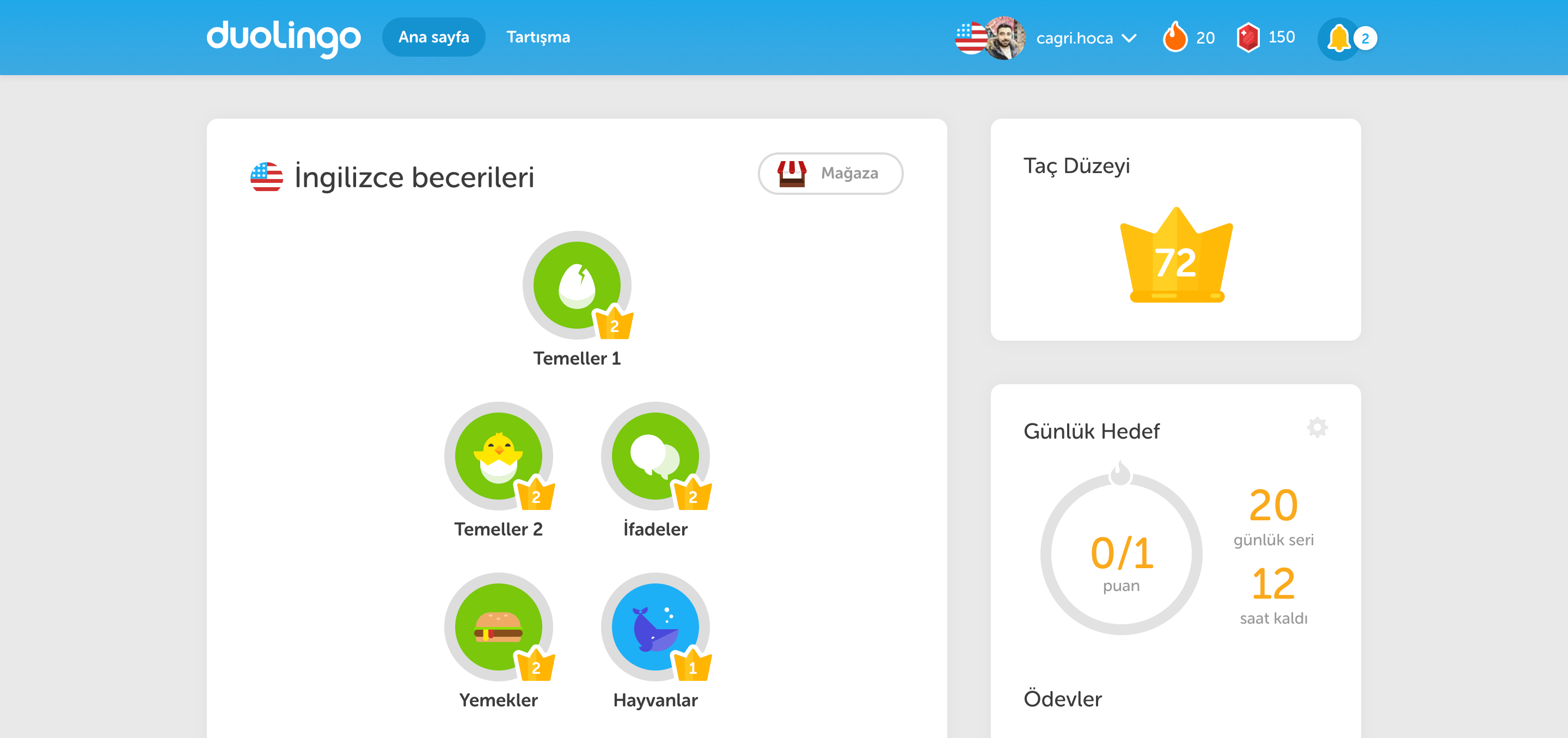 duolingo nedir ile ilgili görsel sonucu