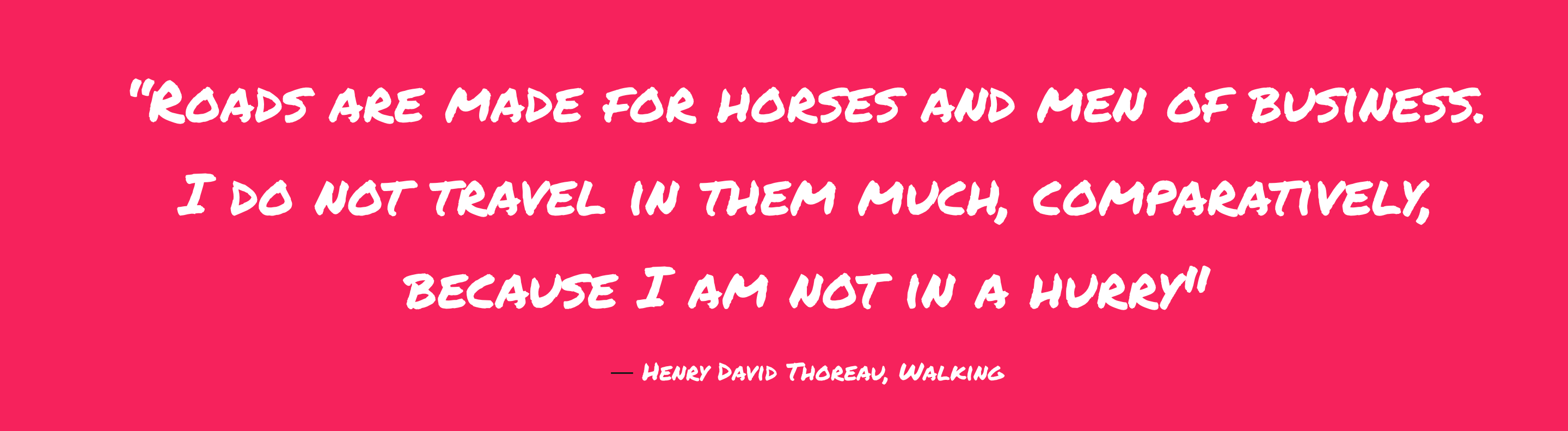 The Theory of the Dead Horse in Scrum by Sjoerd Nijland Serious
