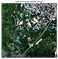 RGB image for computing indexes