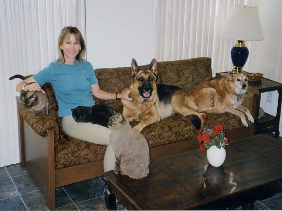 pet resistant couch
