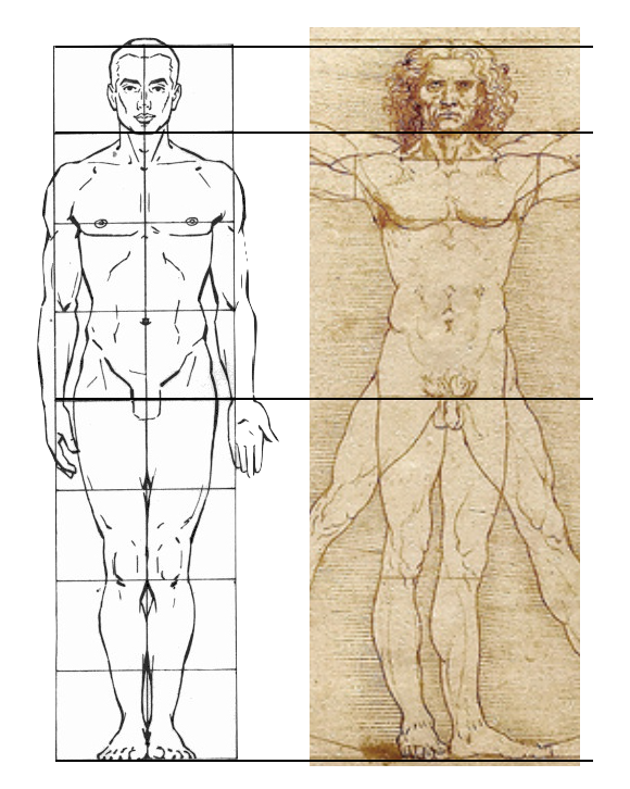 Da Vinci was wrong. Was Da Vinci's Vitruvian Man correct… | by Luis  Martin-Santos | Medium