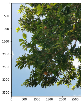 Image Processing with Python: Image Segmentation using Thresholding ...