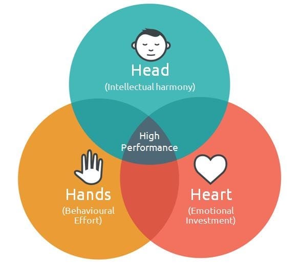 Heart, Head, Hands. This past week, at BlackHawk Church… by Johner Allison Medium