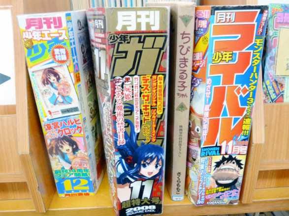 Getting It Wrong Manga Serialization And Fillers Synoptic