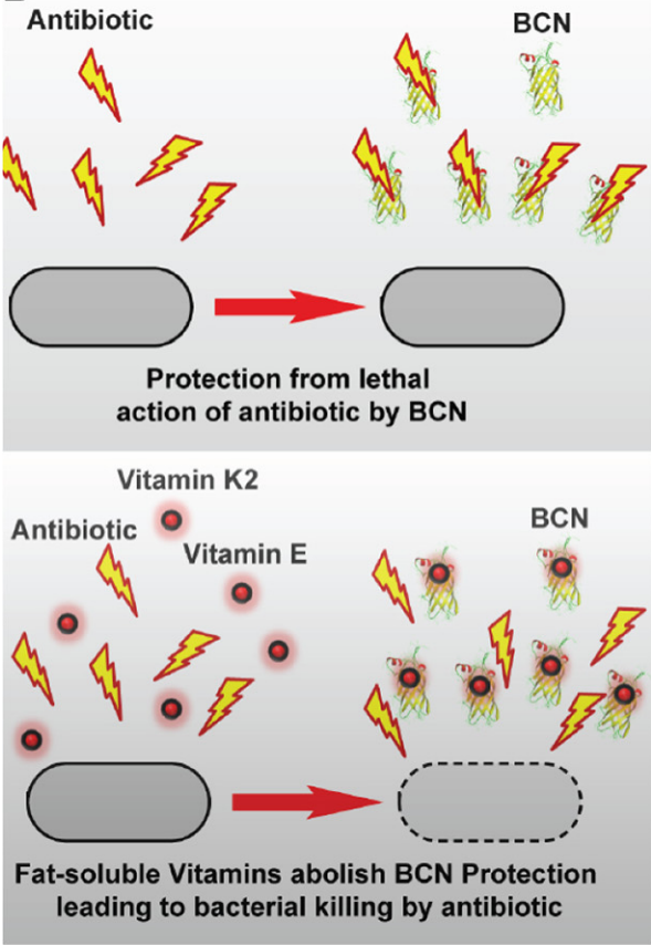 Vitamins help fight diseases. There have been several scientific… by