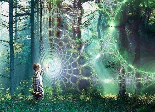 Book Review: “The Web of Life: A New Scientific Understanding of Living Systems” by Fritjof Capra | by Rohan Roberts | Awecademy | Medium