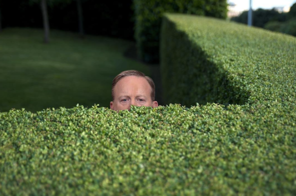 Sean Spicer Lands Job At FOX News, “Spicer in Shrubbery” Segments ...