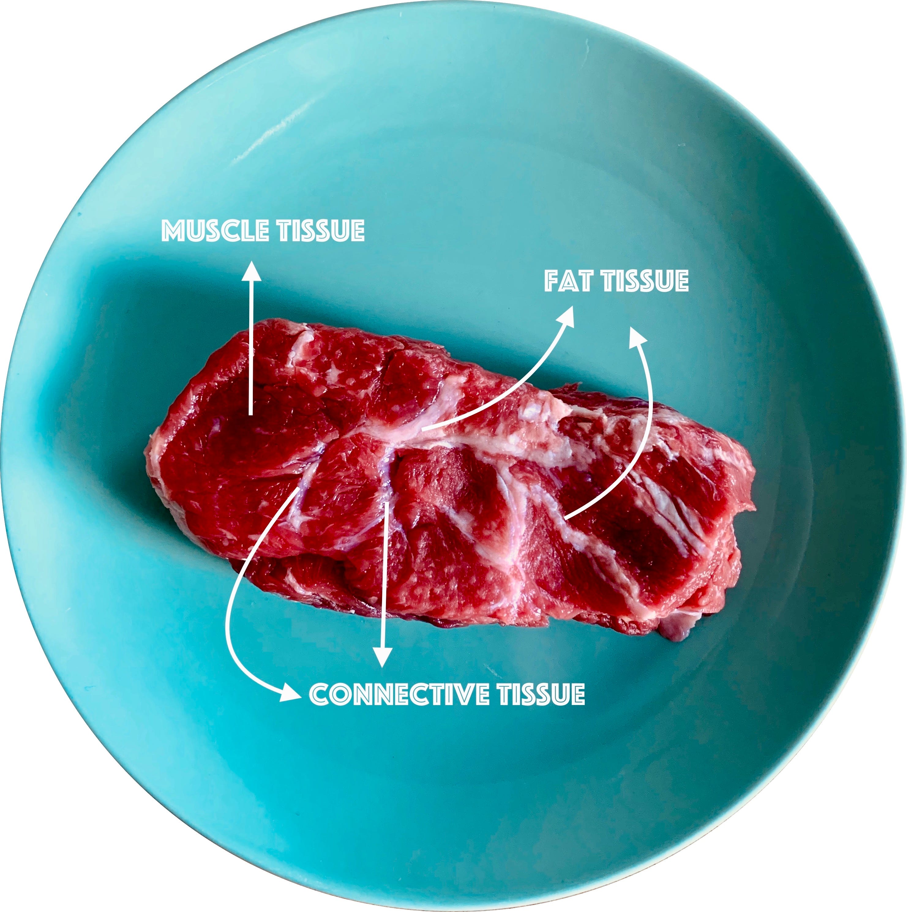 Beef 101 — Part I. a (not so) brief introduction to its… by Joao