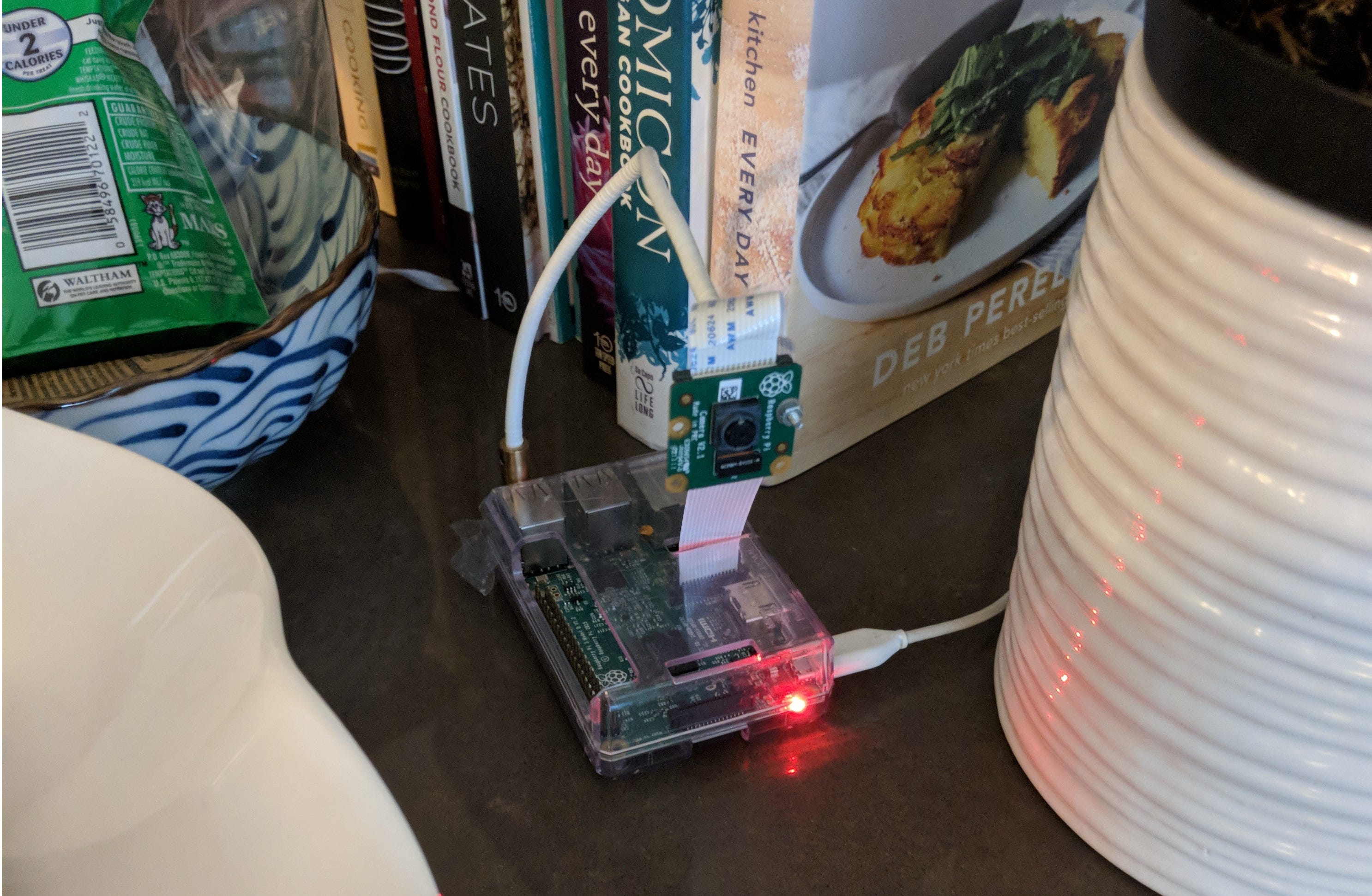 Offline Object Detection and Tracking on a Raspberry Pi