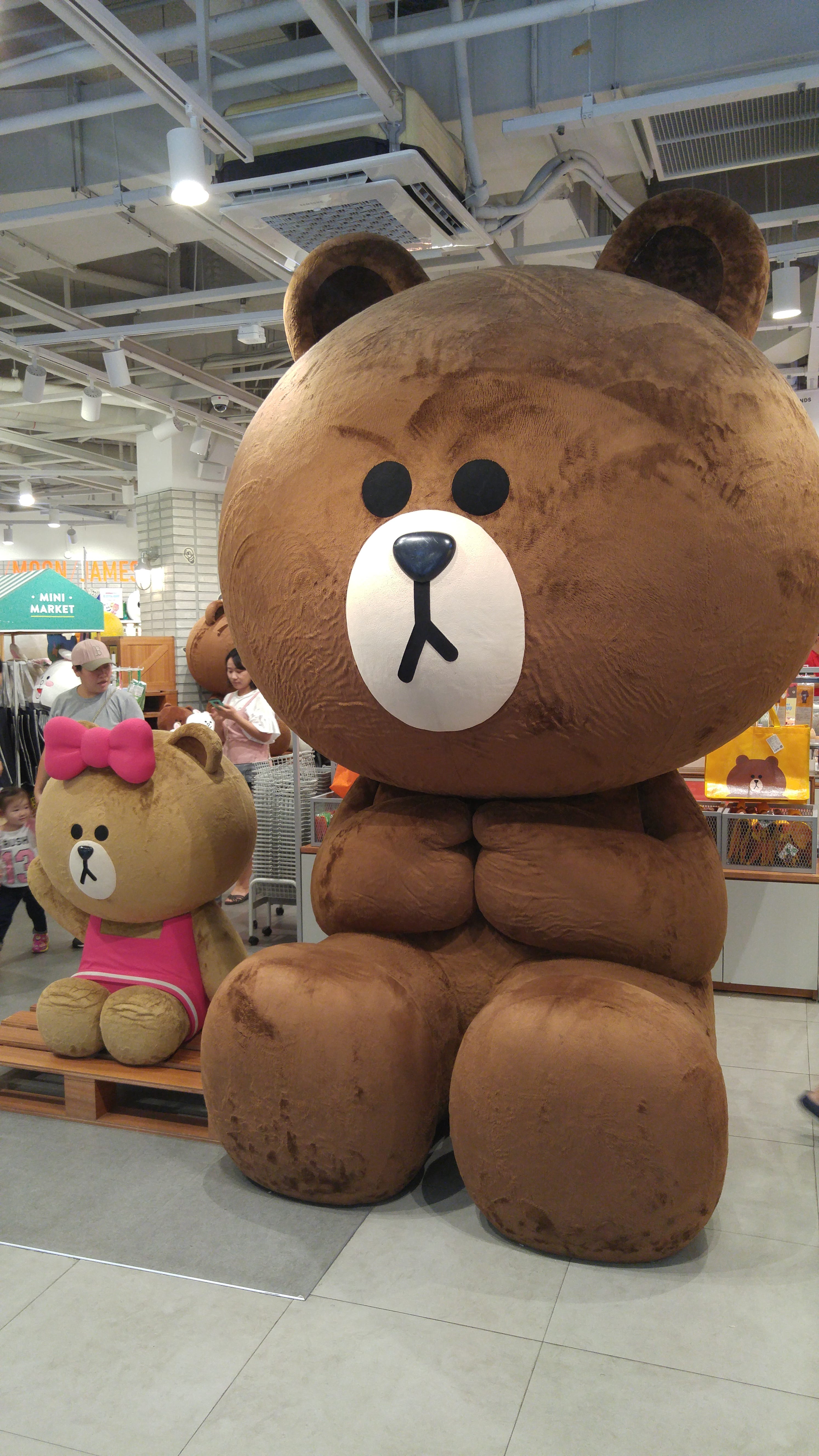 korean teddy bear brand