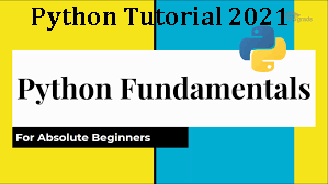 python fundamentals class 11 solutions