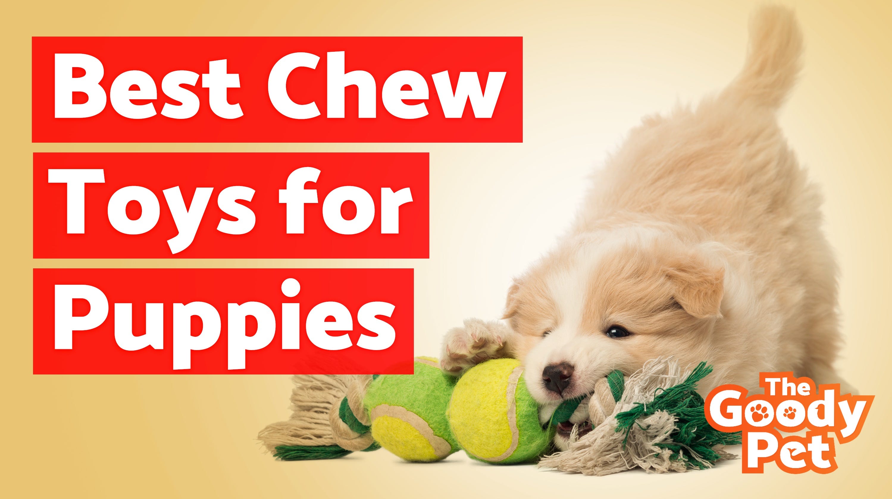 best chewing toys for puppies