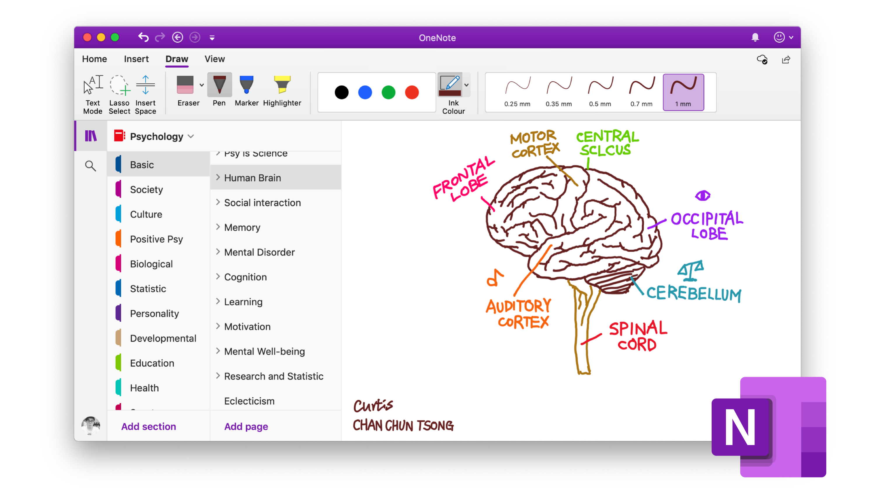 Note-taking with OneNote as a Psychology student  by 🐟Curtis Intended For Onenote Cornell Notes Template