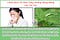 Chữa dịch chảy từ mũi xuống họng bằng cây vòi voi