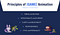 Principles of Game Animation