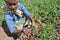 climate change adaptation