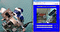 Raspberry Pi Cam Pan-Tilt Controlled Over Local Internet - 图8