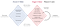 The double-diamond process of Human-Centered Design. Left diamond: discover & define; right diamond: design & deliver.